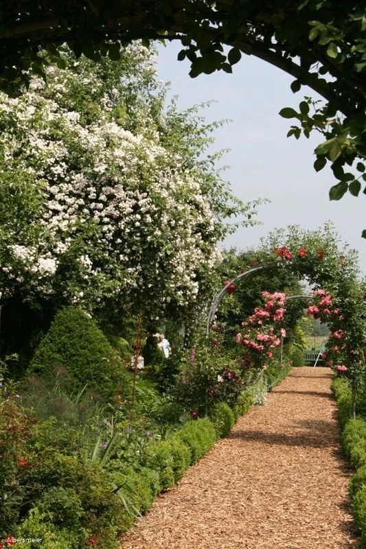 Feldgarten Schoneberg