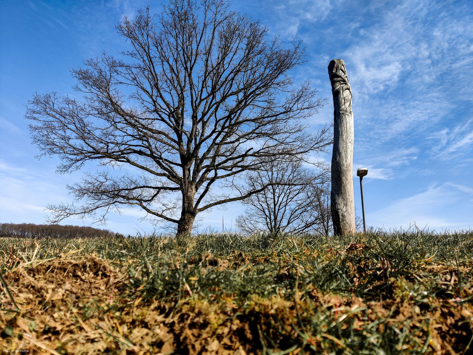 Scheuerpfahl Wurzeln und Erosionen