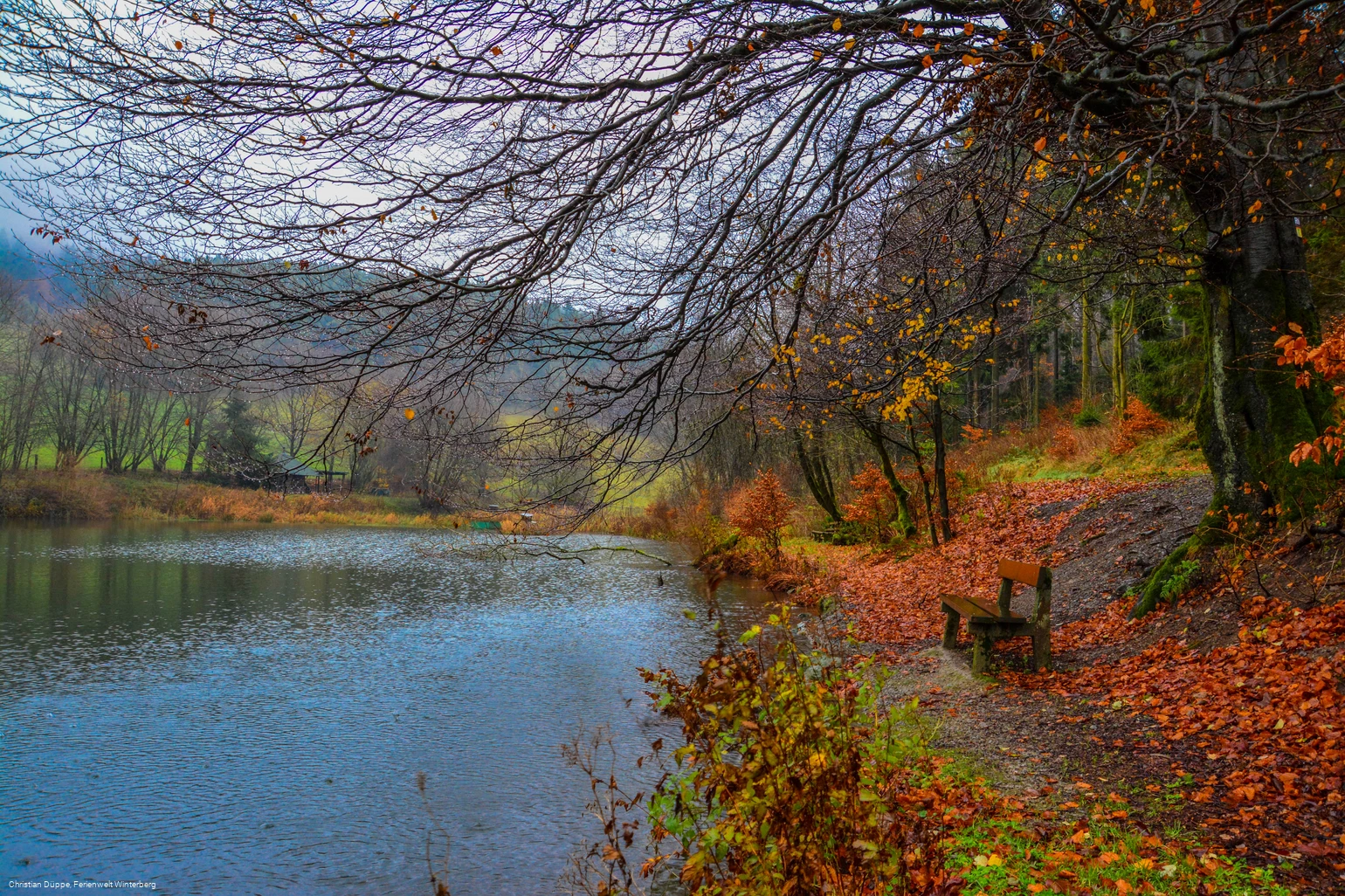 See Hildfeld Herbst