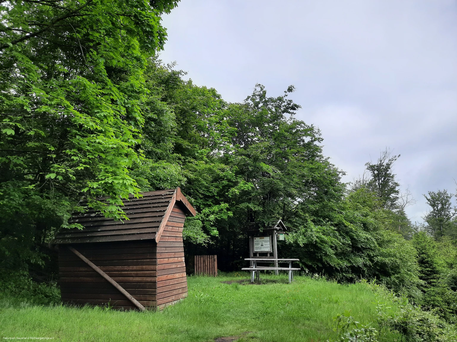 Pausenort im Wald