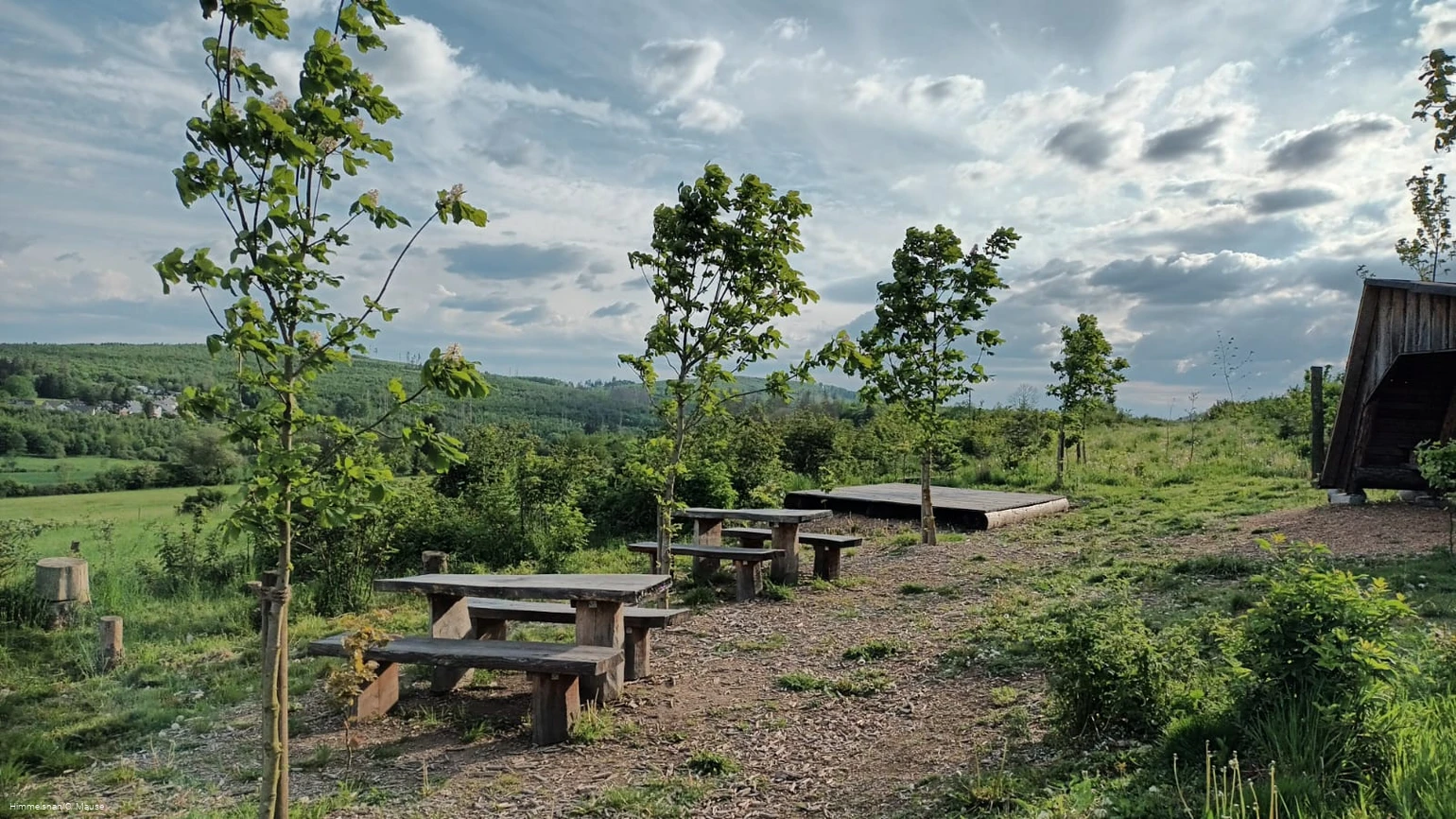 IMG-20241202-WA0136.jpg IMG-20241202-WA0136.jpg