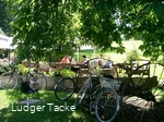 ZUM TACKEBER _BIergarten_ FOTORECHTE LUDGER TACKE.jpg