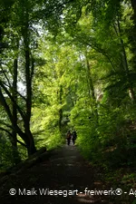 Zuweg Sauerlandroute
