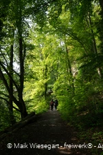Zuweg Sauerlandroute