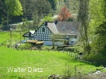 Ausflugsziel im Grünen