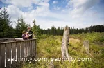 Hochmoor