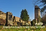 Fruehling Totenhagen Graeber Tylenturm