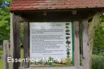 Arboretum Essentho