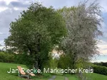 Waldsofa am Roden-Hennes-Weg