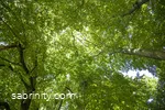 sabrinity_brilon071.jpg