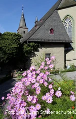 Blüten vor Klosterkirche