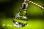 Light bulb with sprout