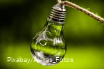 Gloeilamp met spruit