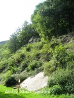 Werdohl_Kletterfelsen (11).jpg