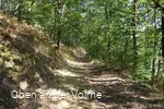 Hinein in das Naturschutzgebiet Notkleff