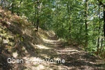 Hinein in das Naturschutzgebiet Notkleff