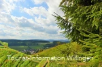 Geschichtspfad mit Blick auf Welleringhausen