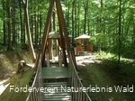 Naturerlebnis Wald Meerhof - Hängebrücke