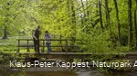 Entdeckungen auf der Sauerland-Waldroute