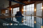 Dsa Warmwasserbecken mit der beliebten Elefantenru