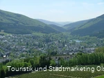 Blick auf Olsberg