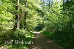 Mitten durch den Wald und die Natur führt der Trim