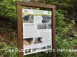 Infotafel an der Veleda Höhle in Bestwig-Velmede