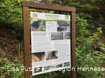 Infotafel an der Veleda Höhle in Bestwig-Velmede