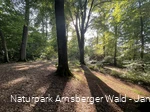 Fotos Waldbaden Reinhilde Türich, Möhnesee 30.07.2024 (c) Naturpark Arnsberger Wald - Janine Plugge (13).jpeg