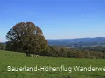 Aussicht bei Windhausen im Herbst