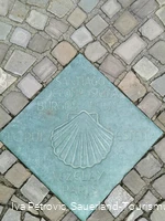 Jakobsmuschel