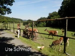 Wildgehege Dodenau