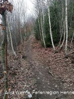 Weg den Küppel hinauf, Freienohl, F2, F3