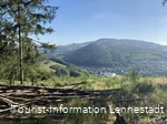 Hohe Schlade_Aussicht .jpeg