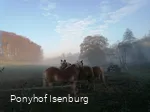 Mitten in schöner Natur liegt der Ponyhof