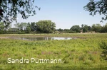 Naturschutzgebiet Woeste bei Bad Sassendorf