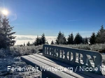 Bollbergbergturm_NicoleMüller