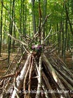 Wald-Tipi
