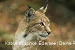 WildtierPark