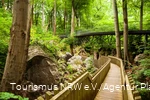 Brücken und Wege im Felsenmeer in Hemer.