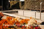 Ferienwelt Winterberg_2022_Herbst_Carography (159).jpg