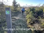 Wandergruppe im Januar auf der Sauerland-Waldroute