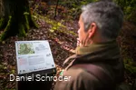 xx201117dsNaturparkArnsbergerWald-30.jpg
