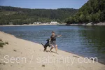 Ein Hund spielt am Diemelsee. Ein hundefreundlicher Ausflug im Sauerland.