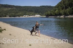 Ein Hund spielt am Diemelsee. Ein hundefreundlicher Ausflug im Sauerland.