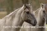 WildtierPark Edersee
