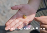 Kleine Naturentdecker unterwegs in Medebach