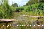 Naturschutz- & Naherholungsgebiet Muckenbruch  Moorentnehme