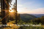 Geweldig uitzicht over de vallei op de Rothaarsteig.