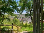 Vineyard with gate